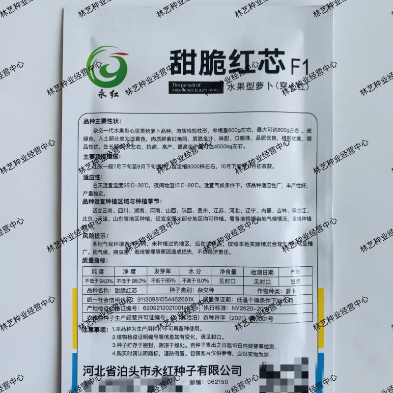 甜脆红芯水果萝卜种子穿心红心里美萝卜种籽脆甜多汁农家四季