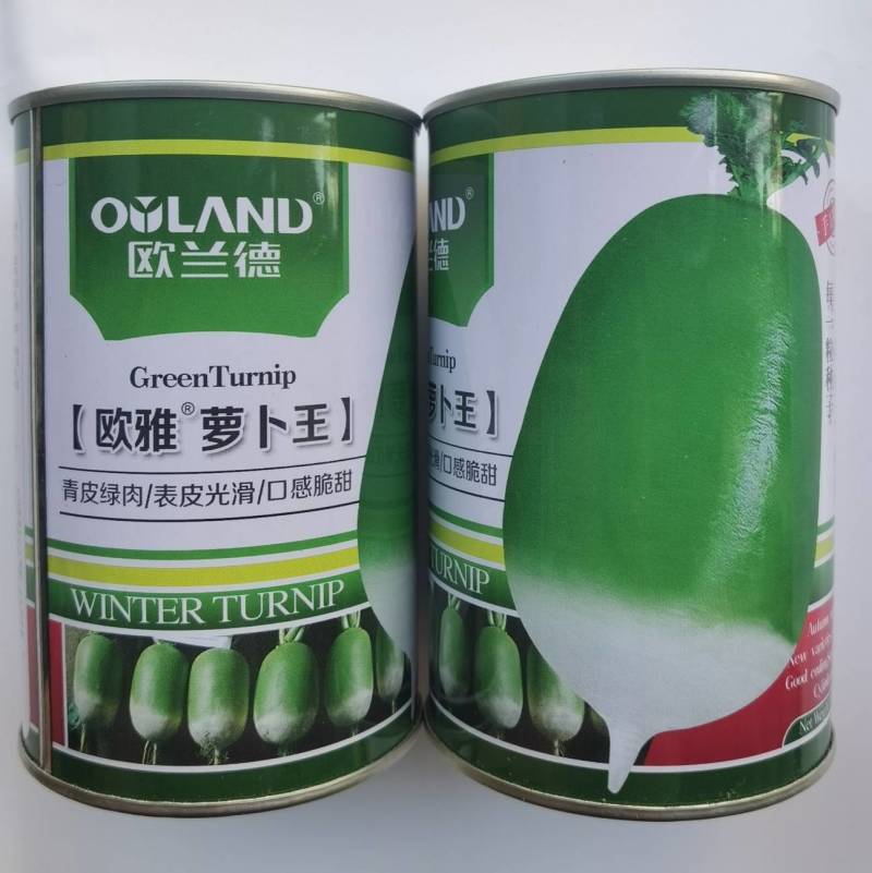 欧兰德欧雅萝卜王罐萝卜种子791萝卜青皮绿肉秋播冬储高产