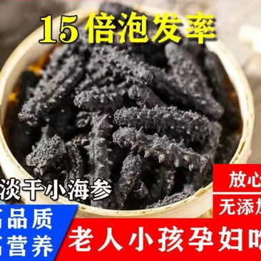 淡干小海参礼盒高品质鲜活海参干货厂家批发