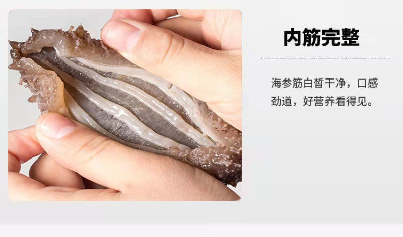 淡干小海参礼盒高品质鲜活海参干货厂家批发