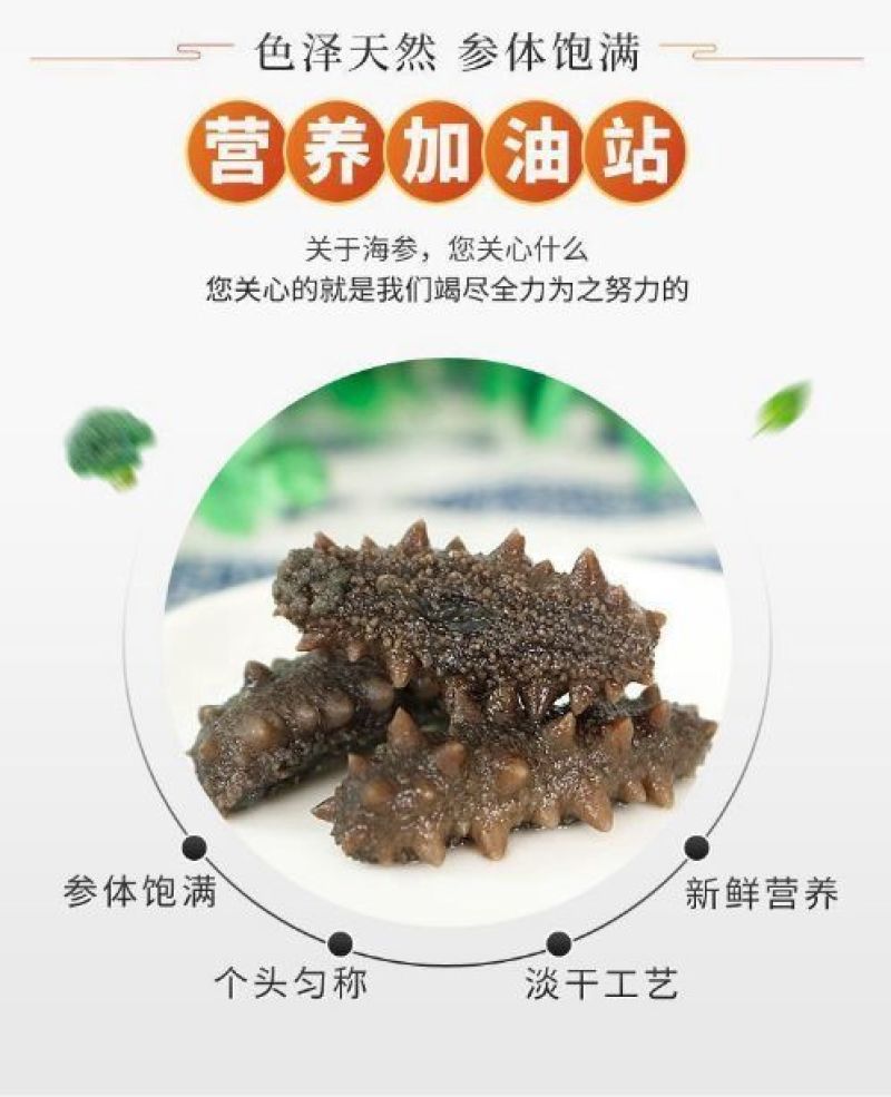 淡干小海参礼盒高品质鲜活海参干货厂家批发