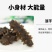 淡干小海参礼盒高品质鲜活海参干货厂家批发