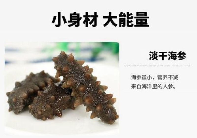 淡干小海参礼盒高品质鲜活海参干货厂家批发