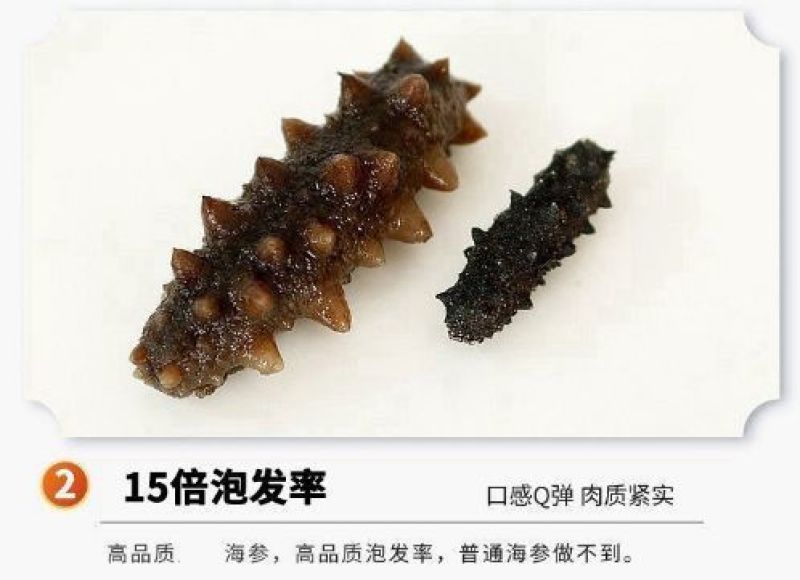 淡干小海参礼盒高品质鲜活海参干货厂家批发