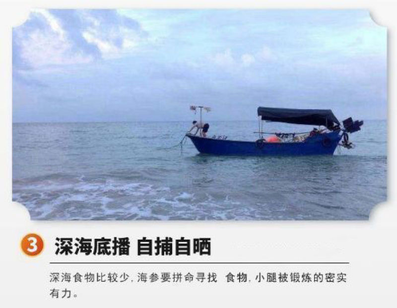 淡干小海参礼盒高品质鲜活海参干货厂家批发