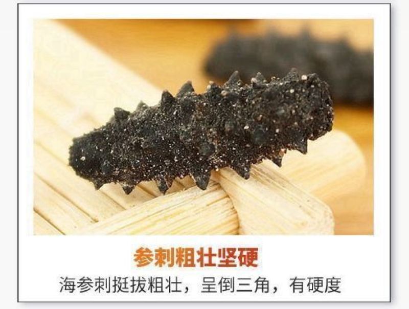 淡干小海参礼盒高品质鲜活海参干货厂家批发