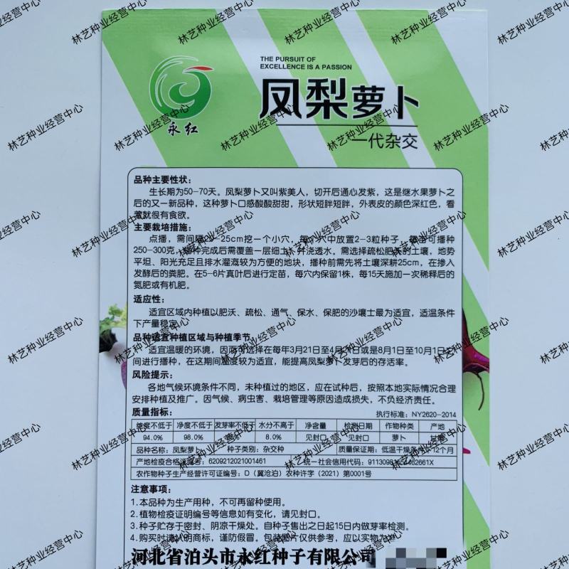 永红凤梨萝卜种子口感好色泽艳丽优质稳产抗病农家春秋播种