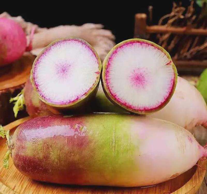 永红冰淇淋萝卜种子紫皮红芯穿心红水果萝卜籽
