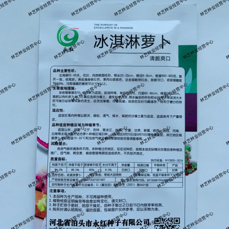 永红冰淇淋萝卜种子紫皮红芯穿心红水果萝卜籽