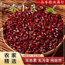 赤小豆现货供应（巴西泰国缅甸）赤小豆量大从优