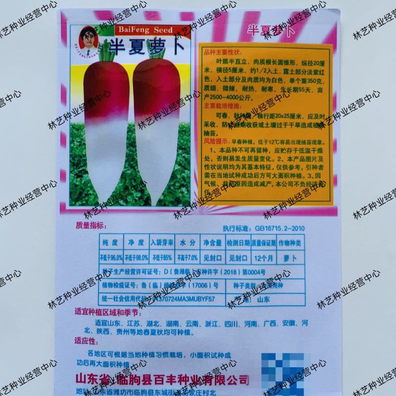 半夏萝卜种子四季播蔬菜瓜果种子肉质细微辣耐热耐寒紫红萝卜