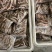 开肚柳根鱼［东北高山流水冷水鱼］溪流清水柳根品质保证