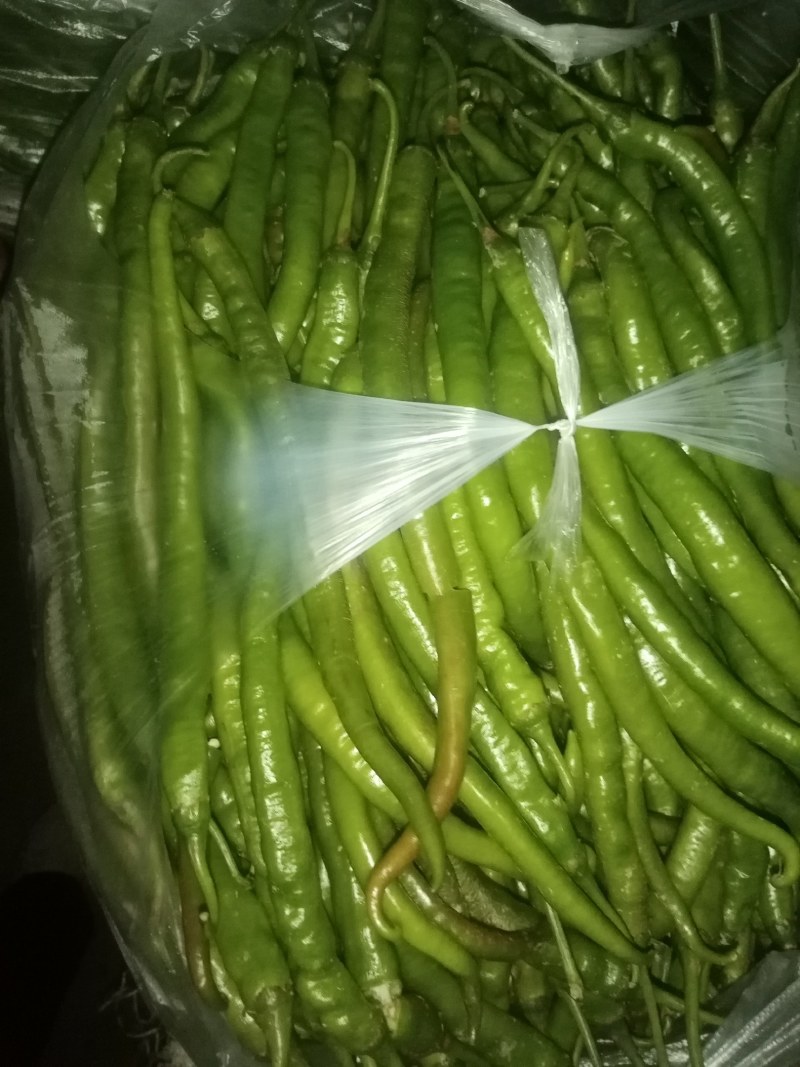 陕南特产现货供应线辣椒大辣椒黑辣椒欢迎订货