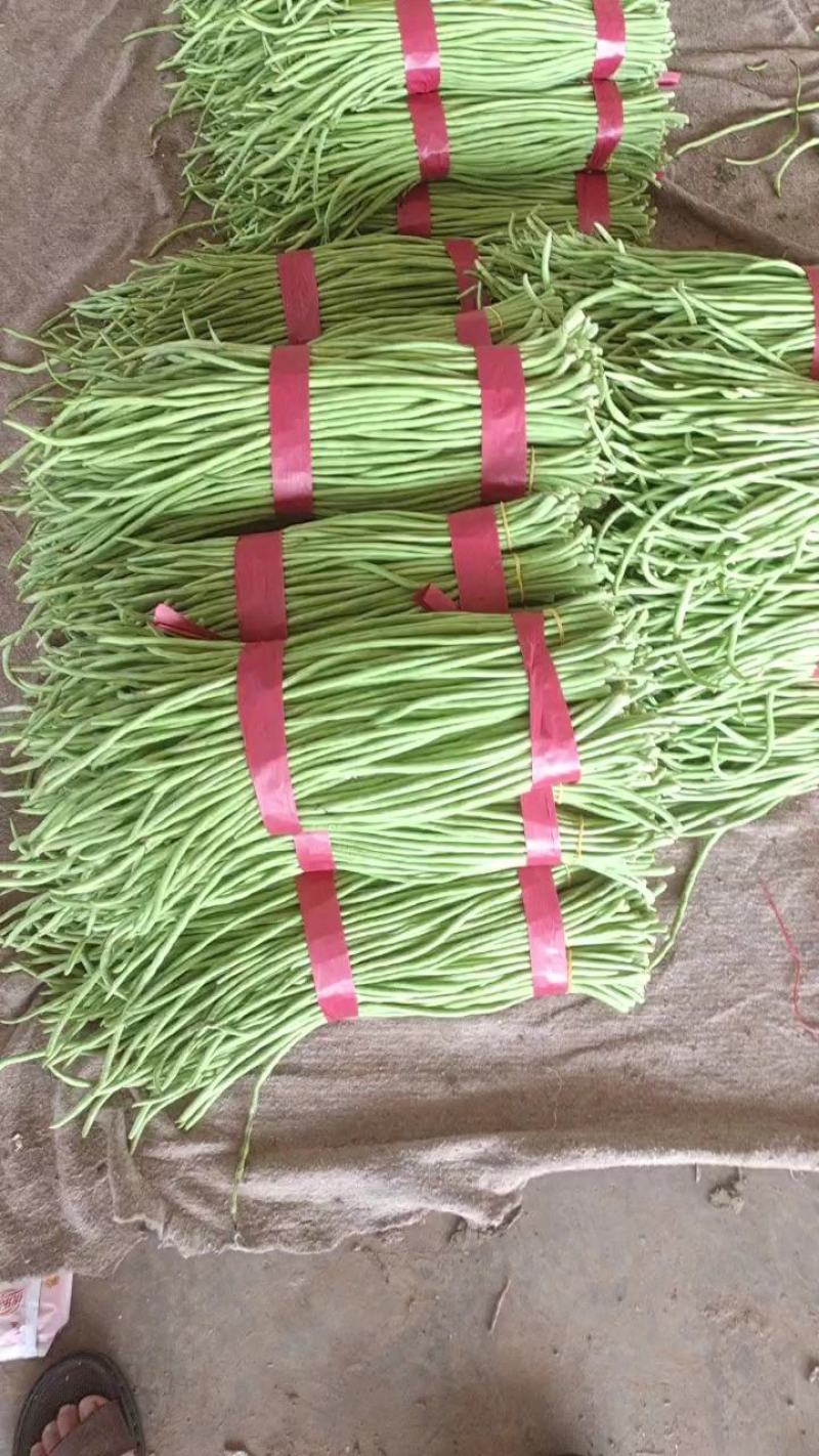 青条豆角