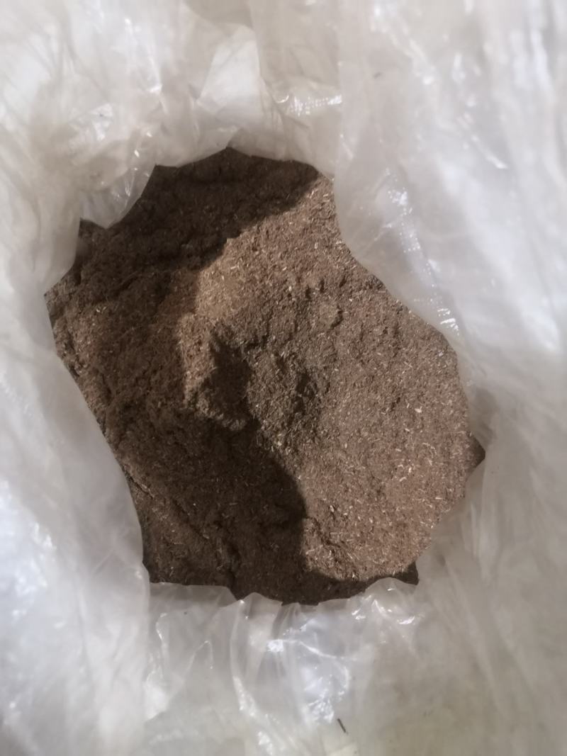 大量出售松针粉我们都是纯马尾松制作可以现场直播