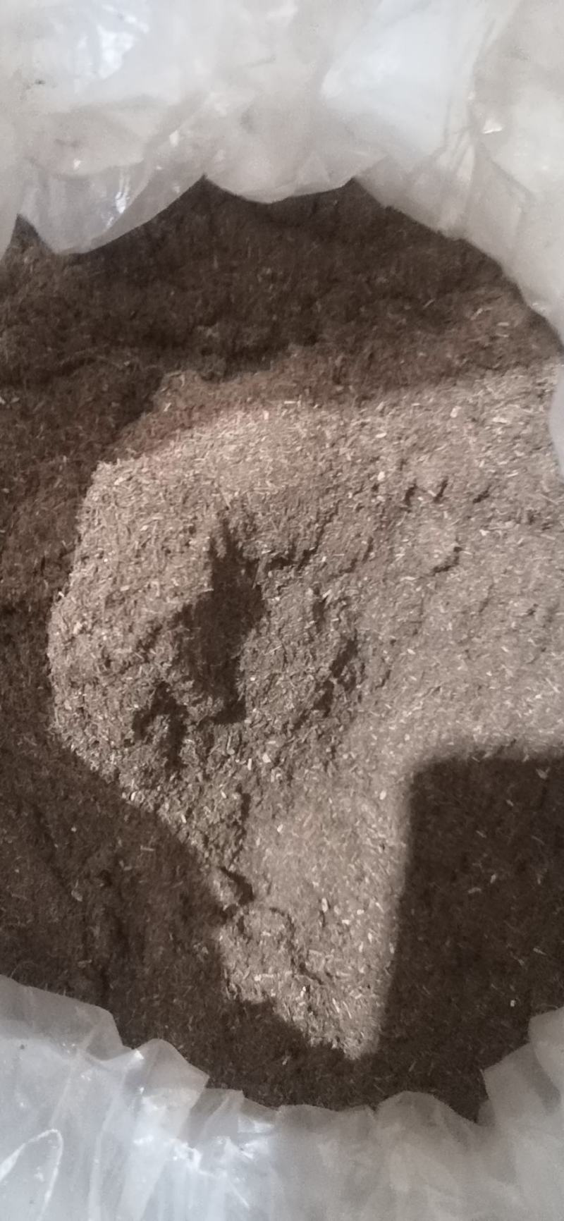 大量出售松针粉我们都是纯马尾松制作可以现场直播