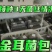 金耳菌包菌棒大型基地大量供货可代发货懂得来