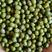 澳洲精品油绿豆，3.8-4.0颗粒均匀。