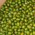 澳洲精品油绿豆，3.8-4.0颗粒均匀。
