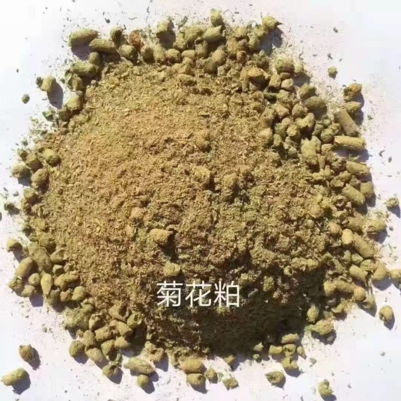 菊花粕降低成本好料蛋白10.76%灰分6.84%可以自提