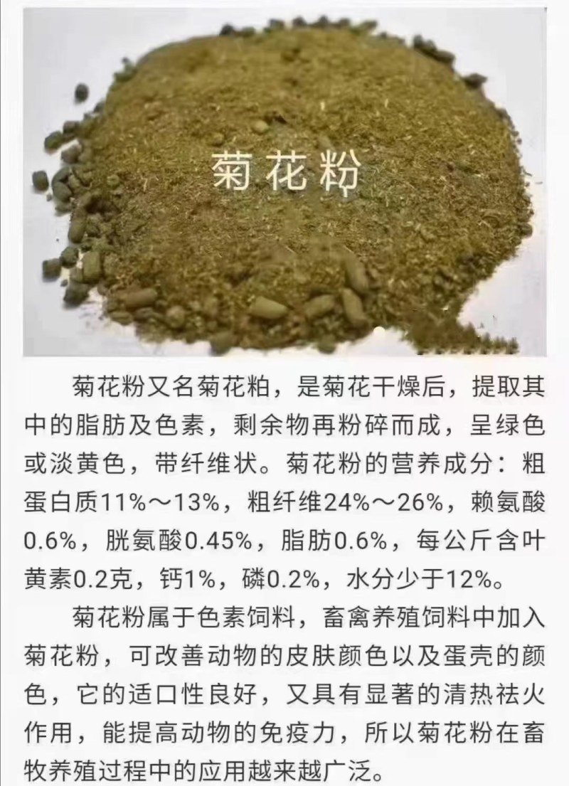 菊花粕降低成本好料蛋白10.76%灰分6.84%可以自提
