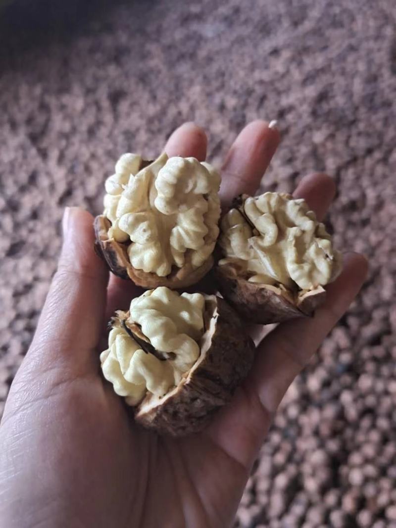 云南新鲜核桃