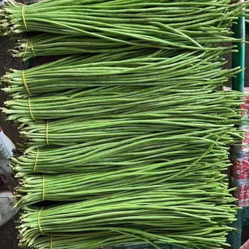 需要的老板联系。