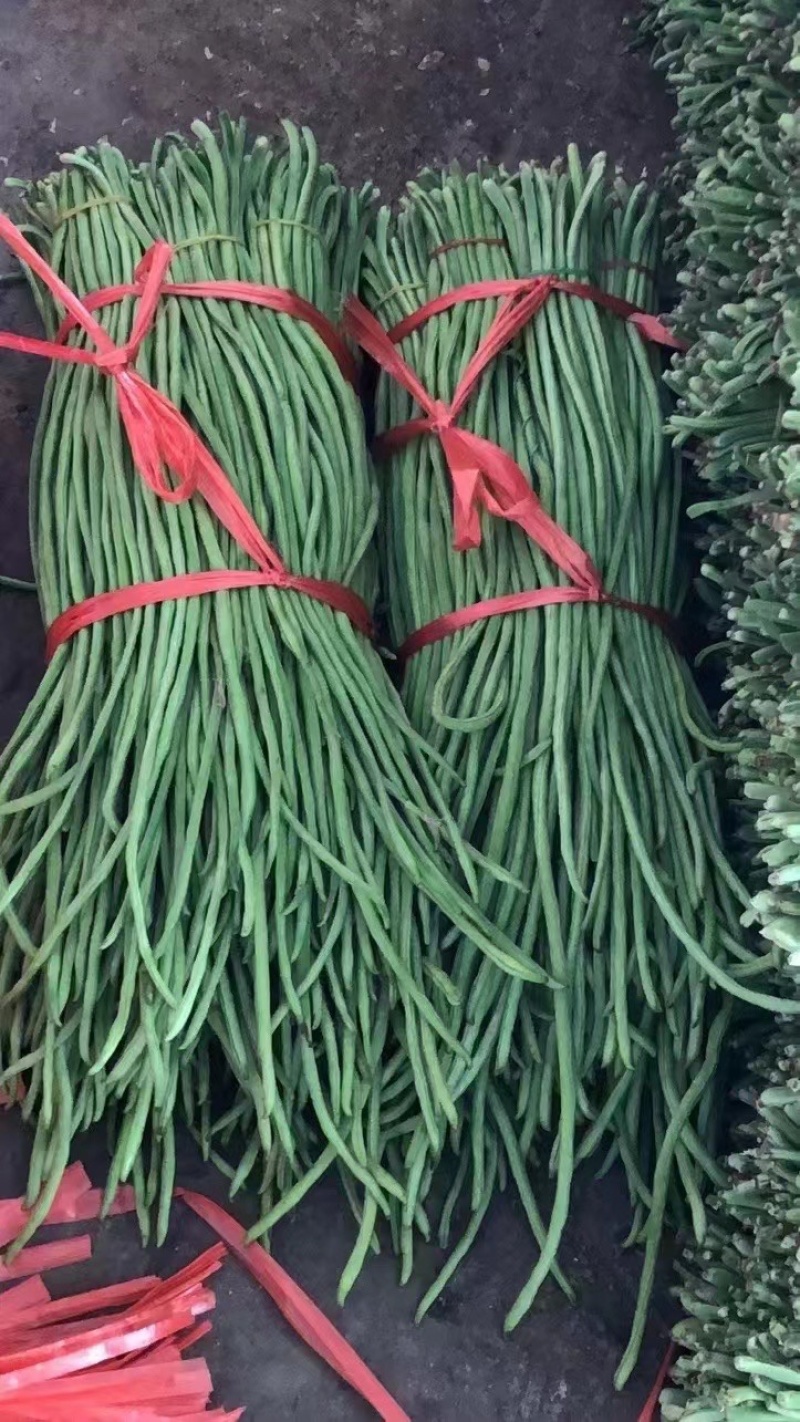 需要的老板联系。