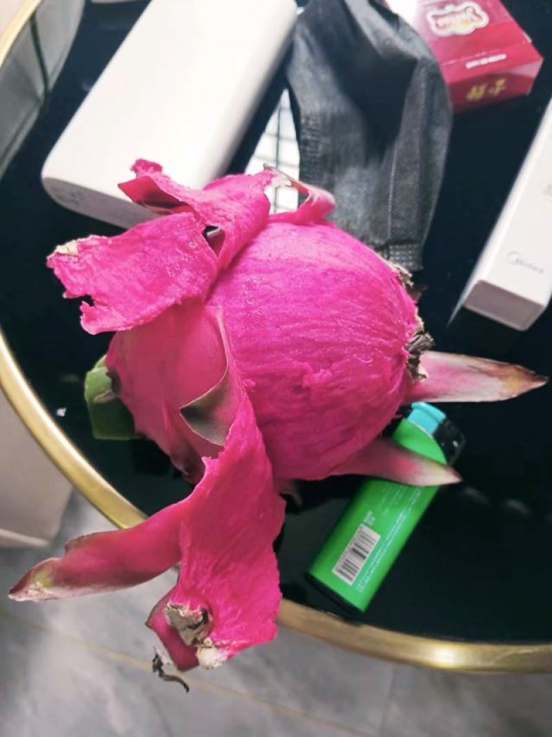 海南广东广西红心火龙果