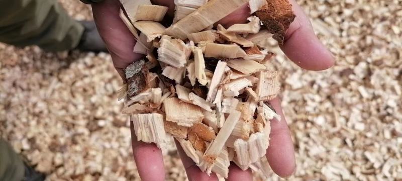 松木片（俄罗斯白松）15000吨起