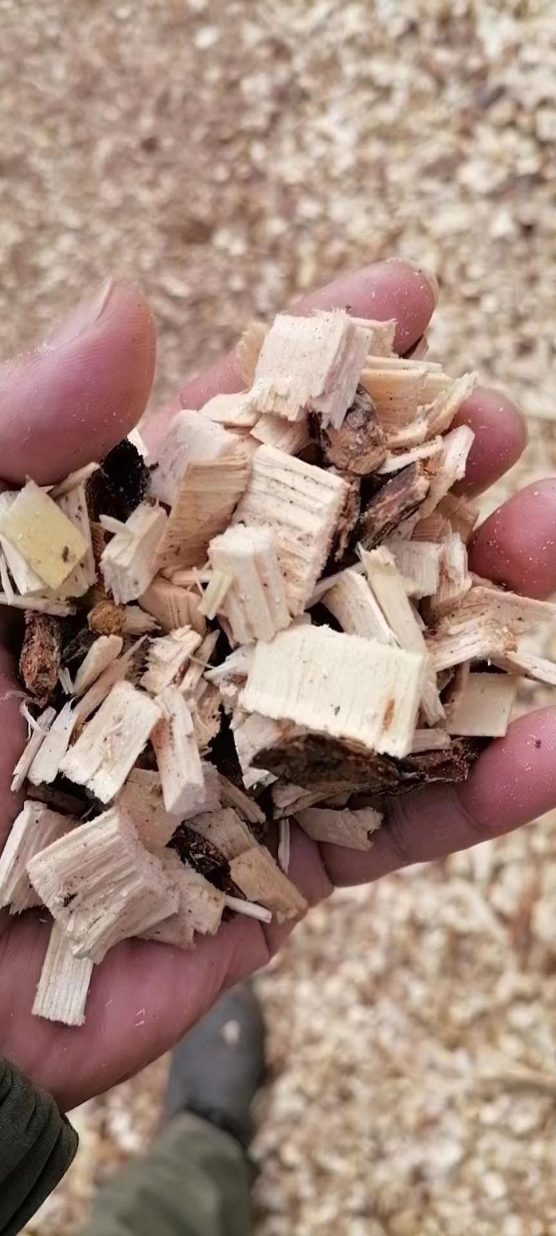 松木片（俄罗斯白松）15000吨起
