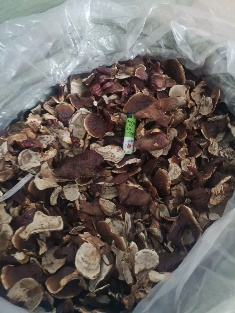 供应长腿灵芝，黑灵芝，紫灵芝，竹灵芝等系列灵芝产品。