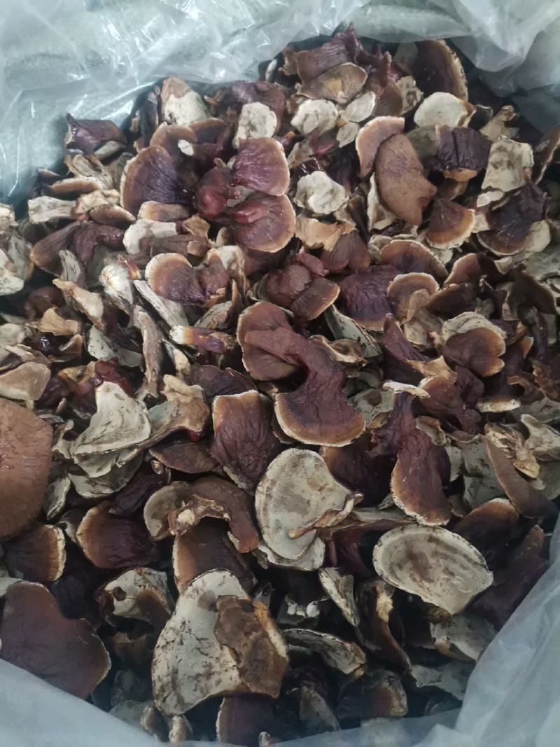 供应长腿灵芝，黑灵芝，紫灵芝，竹灵芝等系列灵芝产品。