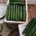 基地直供，量大从优，欲购从速