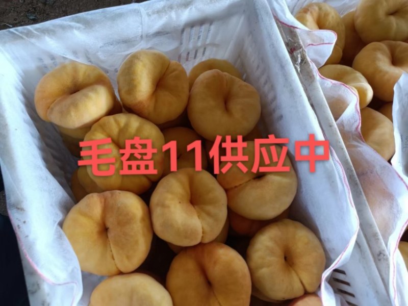 黄金三号大量上市货源充足。价格不高，代办一切手续。