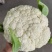 花菜，松花菜大量上市了，保质保量，诚信经营。