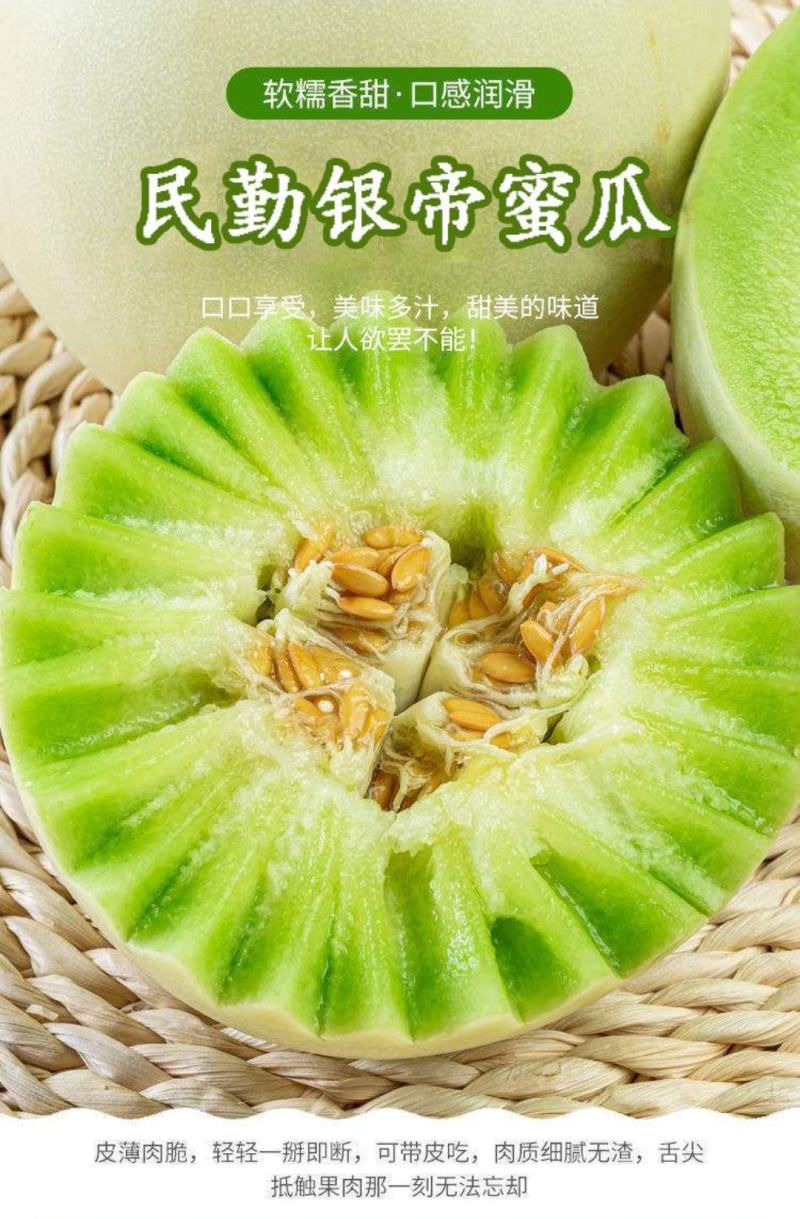 甘肃民勤哈密瓜银蒂西州蜜大量现货供应