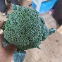 西兰花