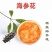 海参花--参中黄金。原汁原浆海参花，只有春天才有的原浆
