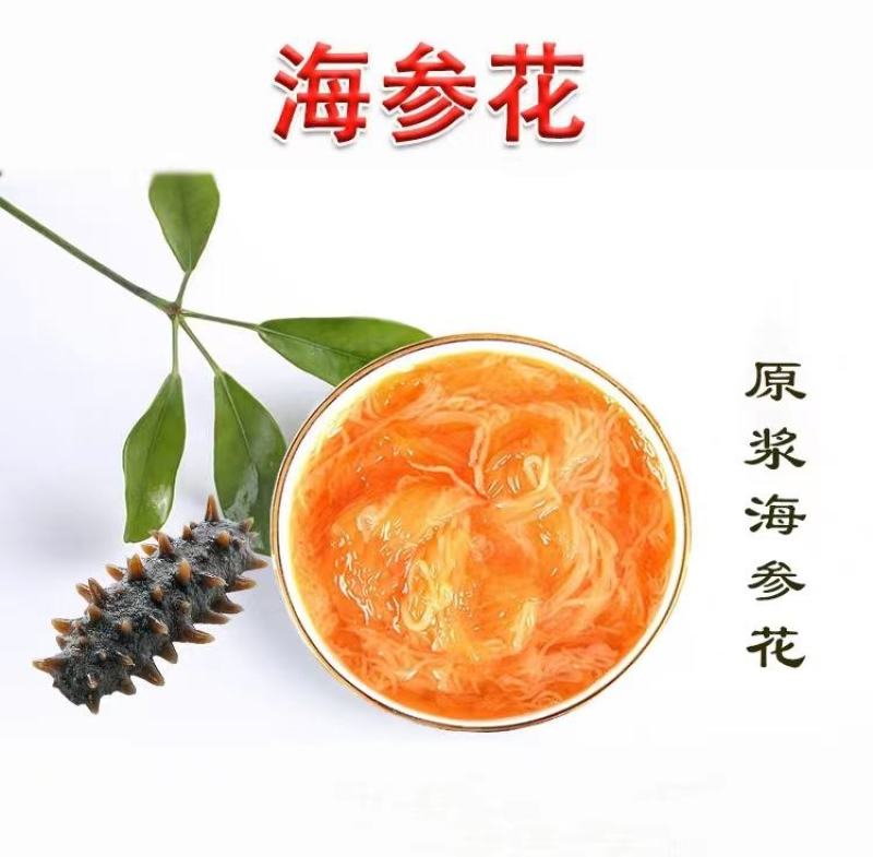 海参花--参中黄金。原汁原浆海参花，只有春天才有的原浆