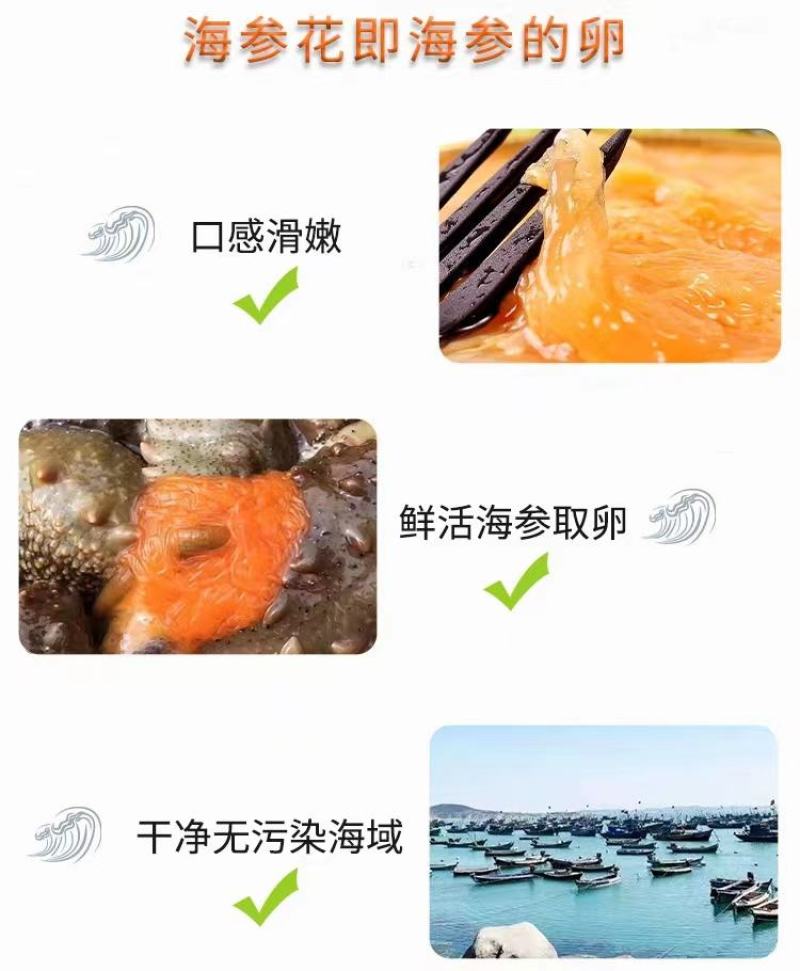 海参花--参中黄金。原汁原浆海参花，只有春天才有的原浆