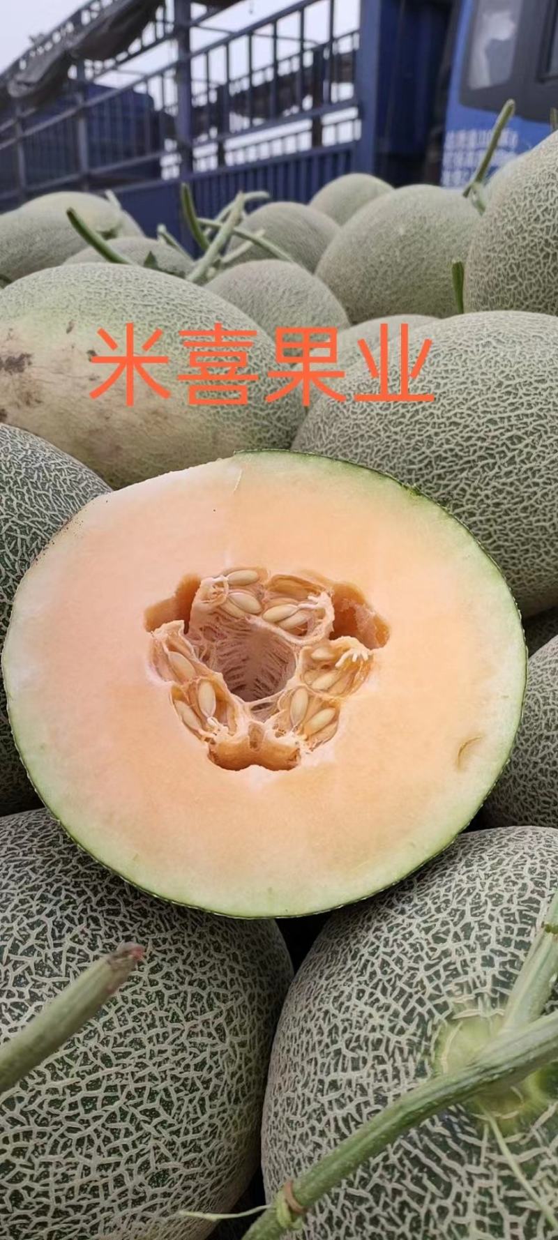 （精品）哈密瓜香甜可口，属地值销供应电商、超市、市场