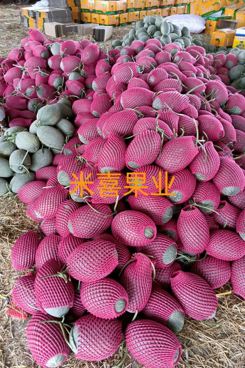 （精品）哈密瓜香甜可口，属地值销供应电商、超市、市场