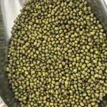 绿豆