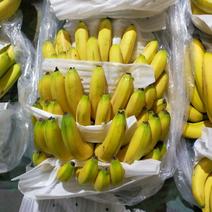 特价二黄蕉每天现货，赶大集马路打游击，社区团购，质量保证