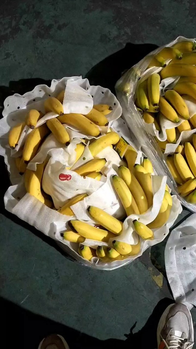 特价二黄蕉每天现货，赶大集马路打游击，社区团购，质量保证