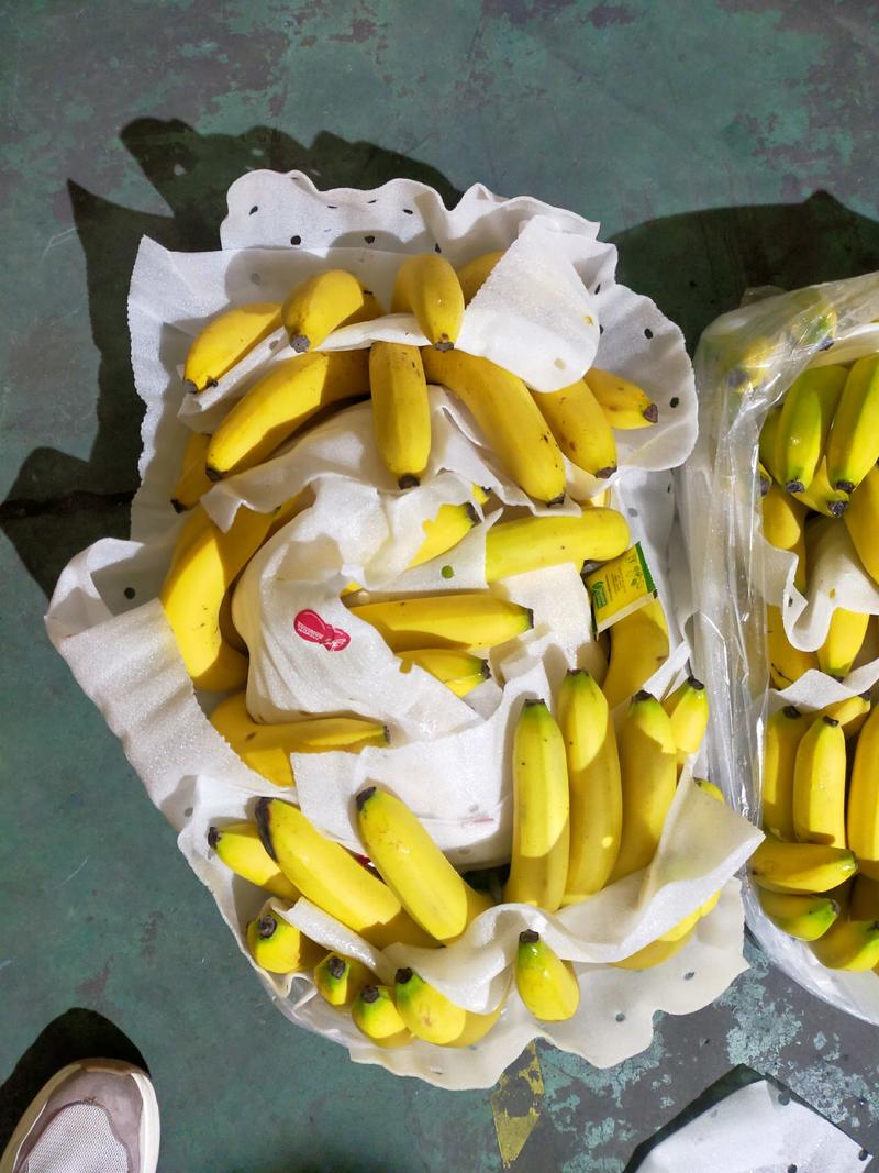 特价二黄蕉每天现货，赶大集马路打游击，社区团购，质量保证