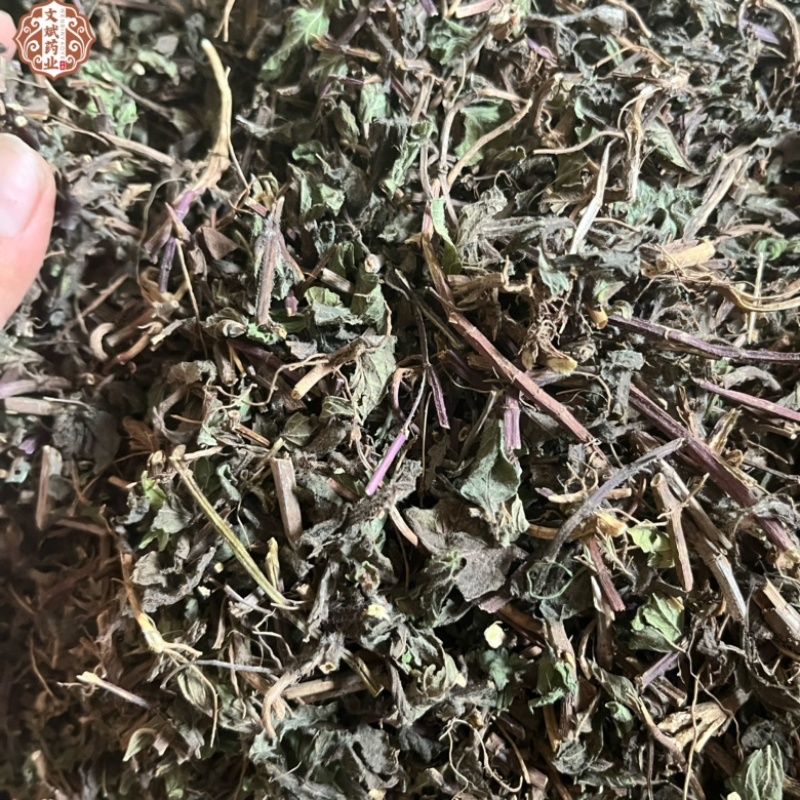 【薄荷】中药材薄荷新货青货气味浓道地药材文斌药业