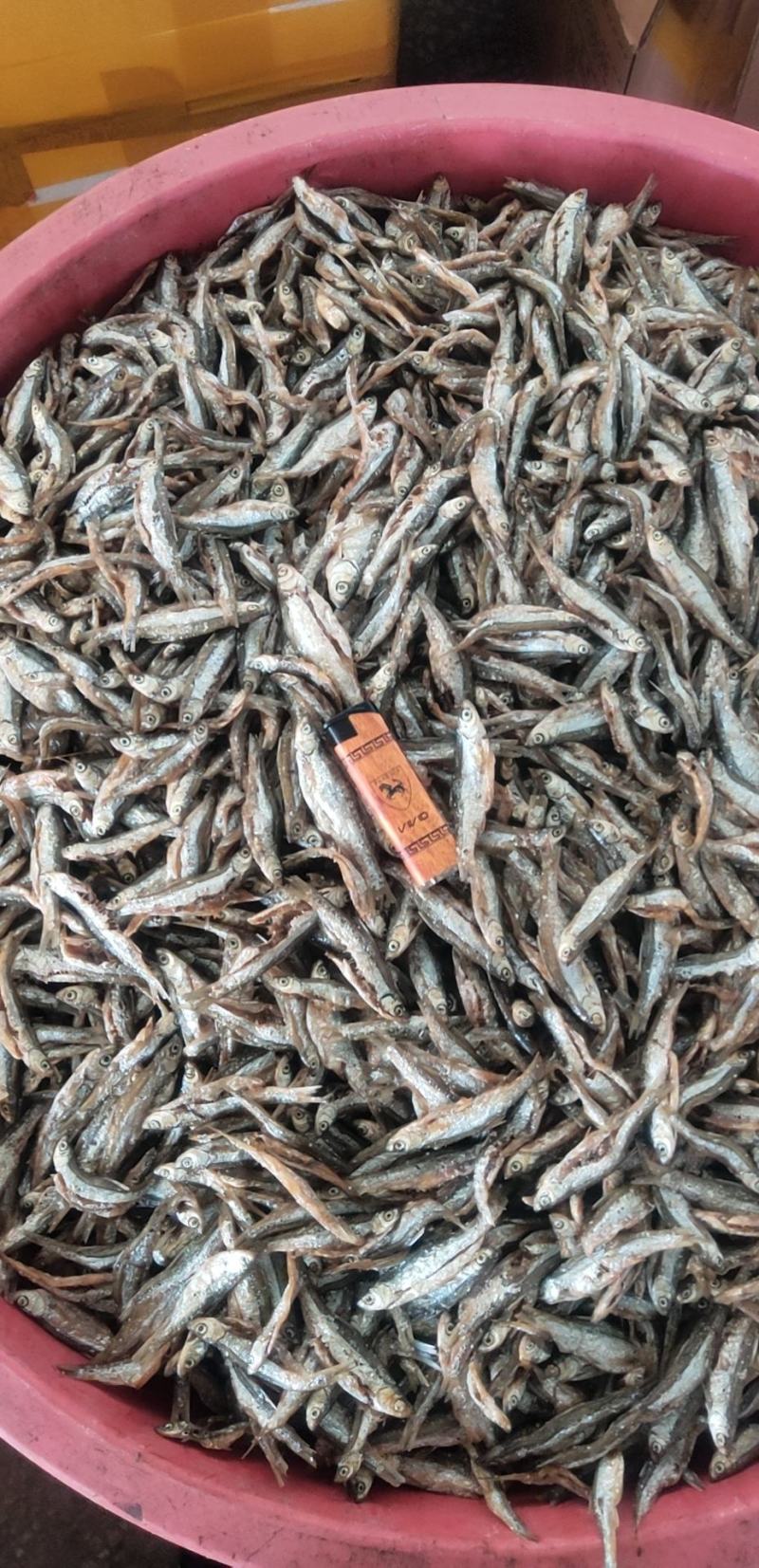 油炸开肚白肖鱼油炸