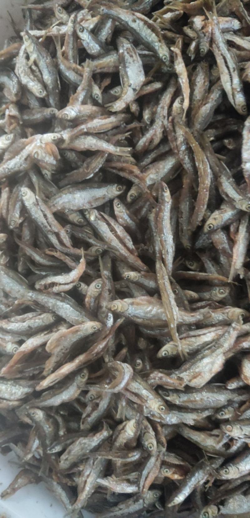 油炸开肚白肖鱼油炸